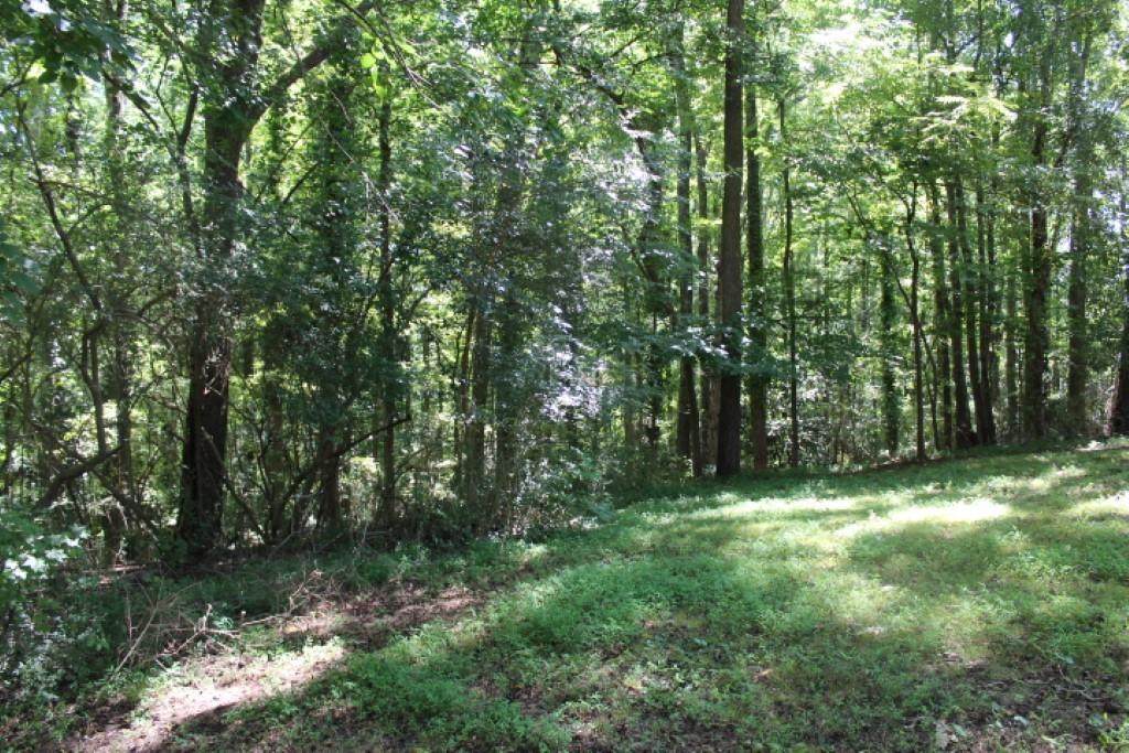 Lot C Sam Drive - Photo 1