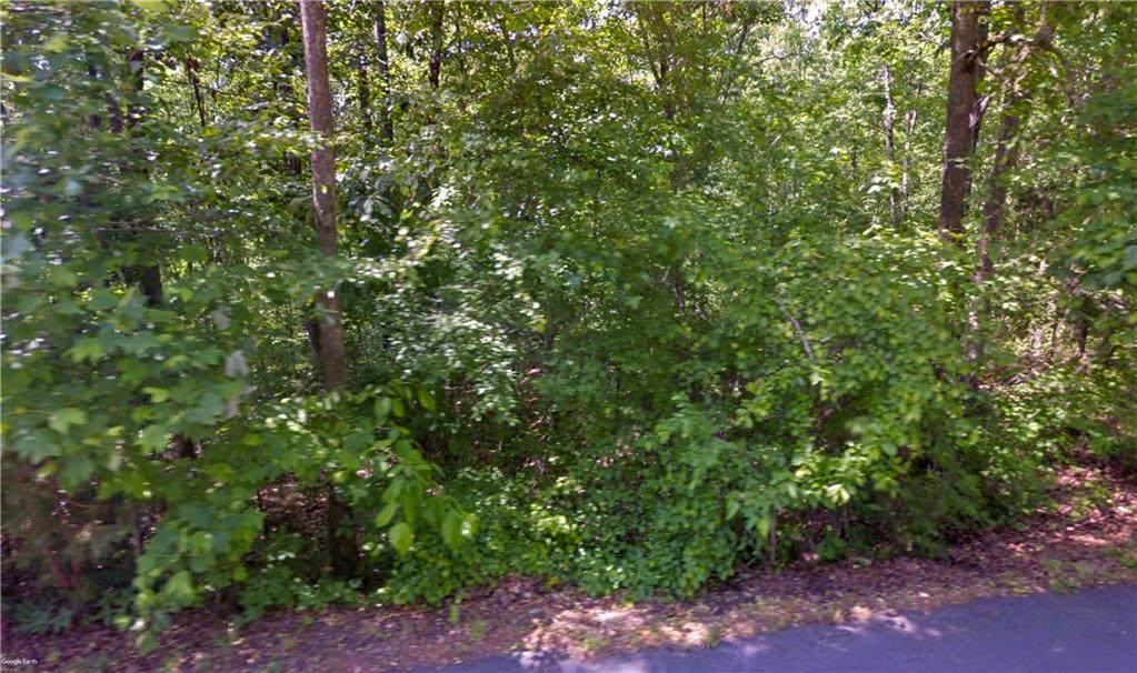 Lot 9 E Lakeshore Drive - Photo 1