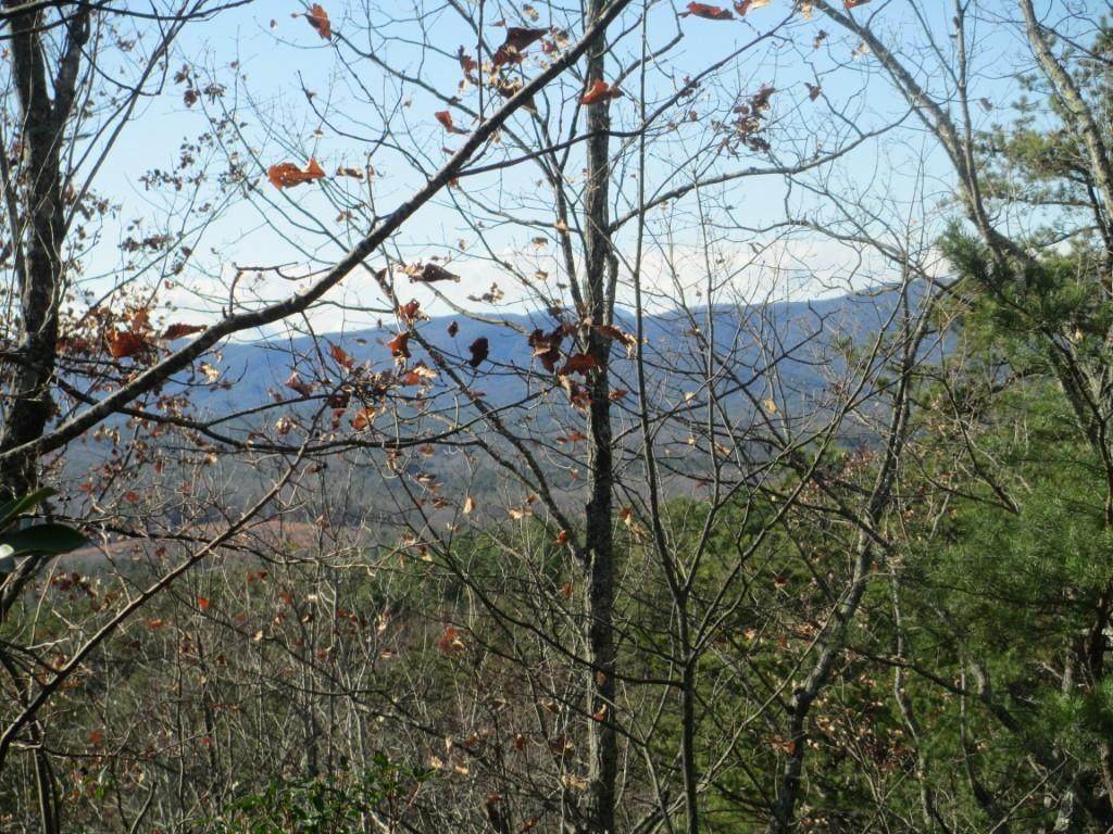 E-2 218 Jocassee Ridge Way - Photo 1