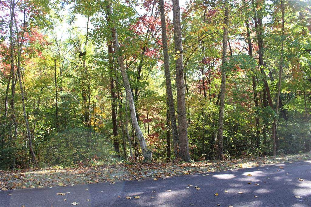 Tract 13 Right Branch Road - Photo 1