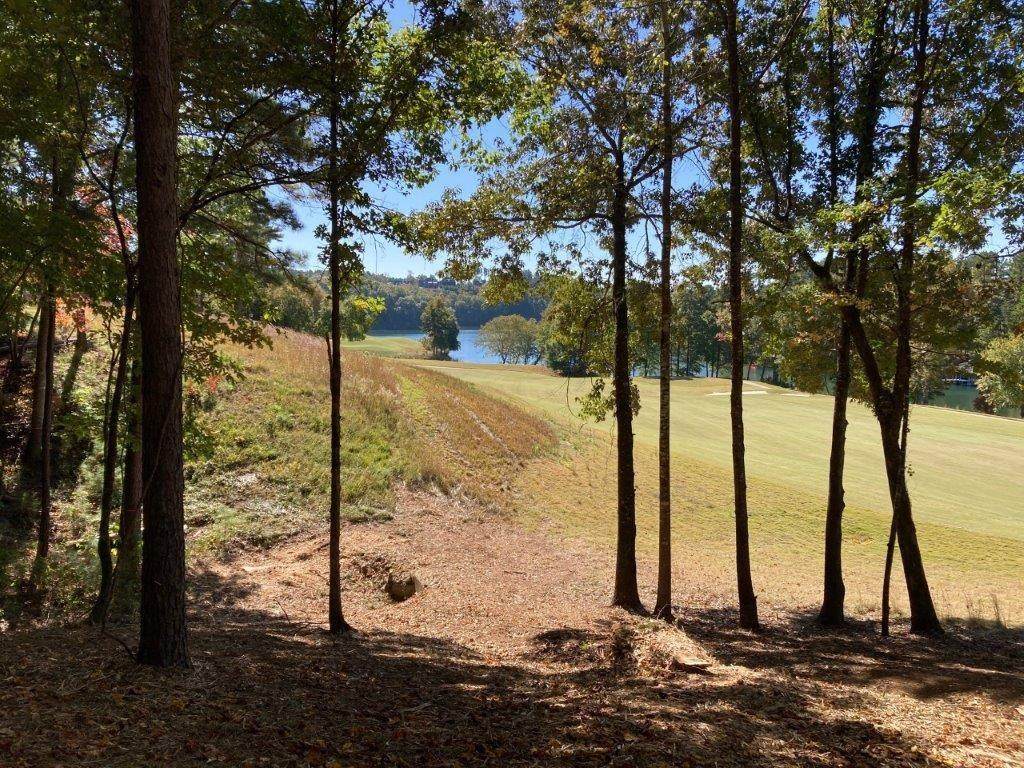1007 Saint Andrews Court - Photo 1