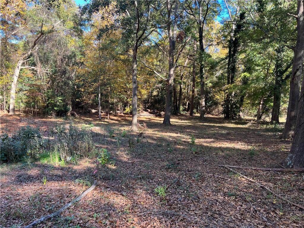 106 Brittlewood Way - Photo 1
