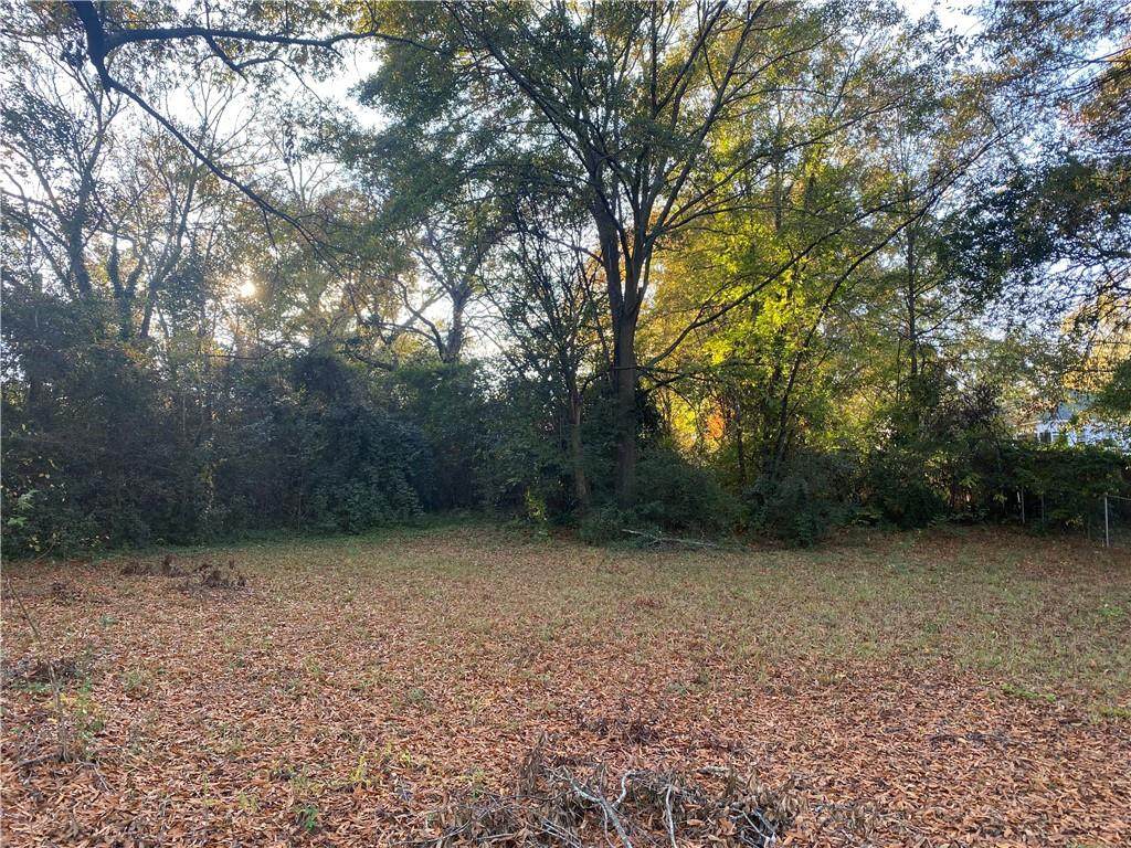 Lot E Lyndon Avenue - Photo 1