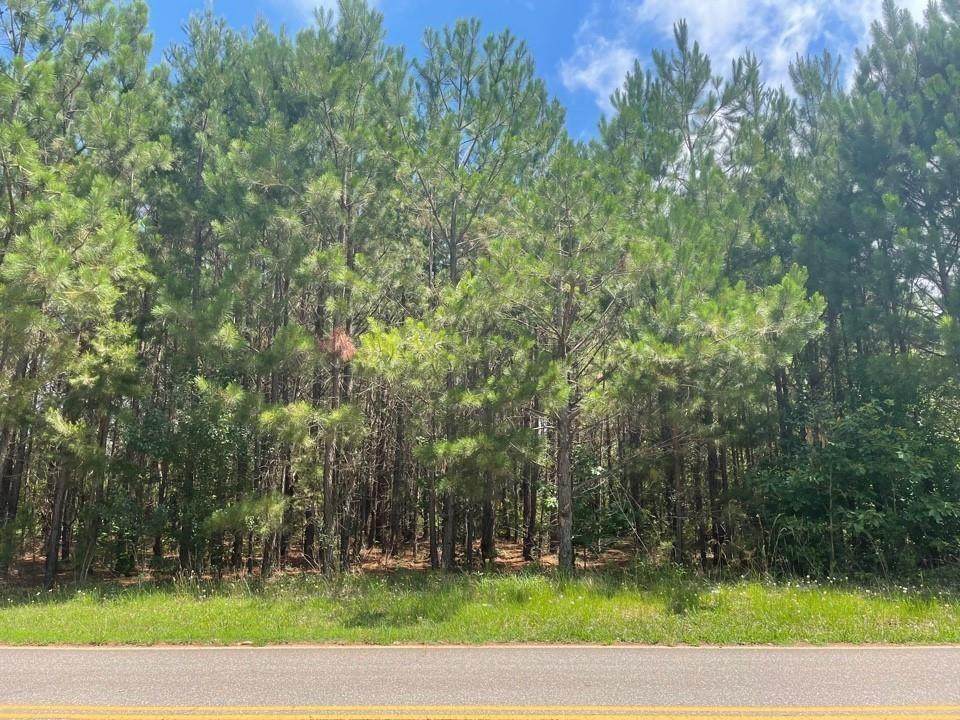 00 Camelot Forest Drive - Photo 1