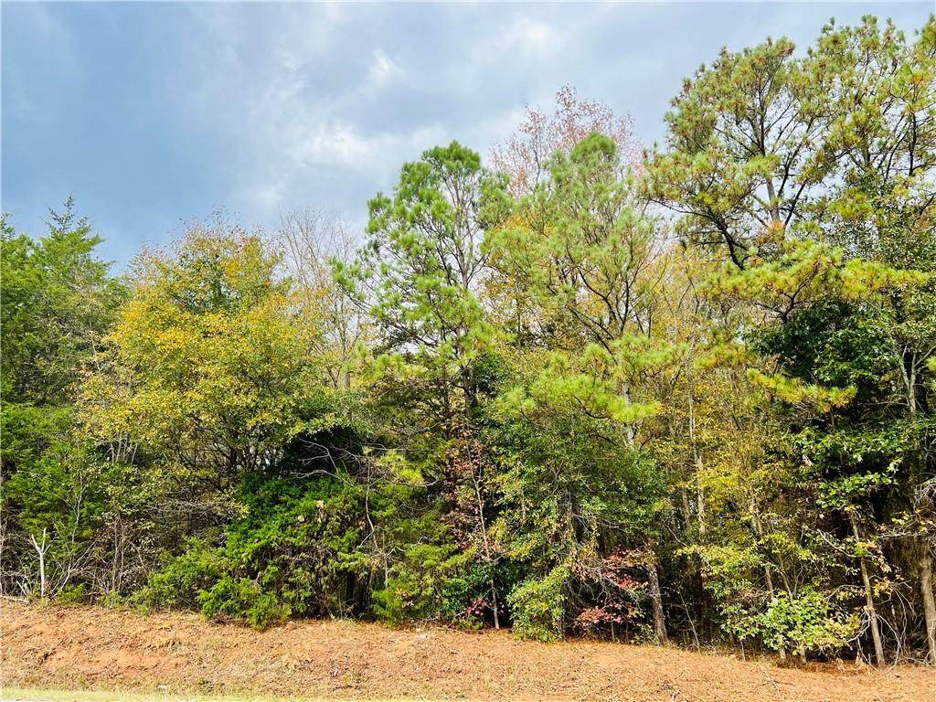334 Beltline Road - Photo 1