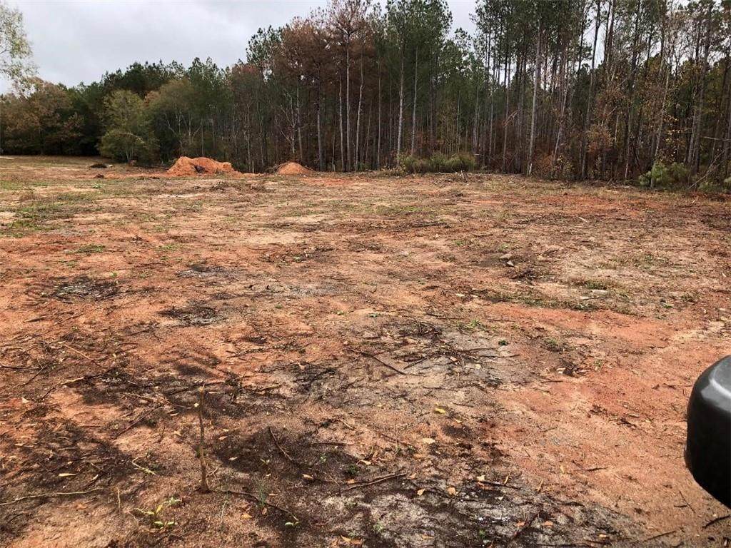 000 Flat Rock Road - Photo 1