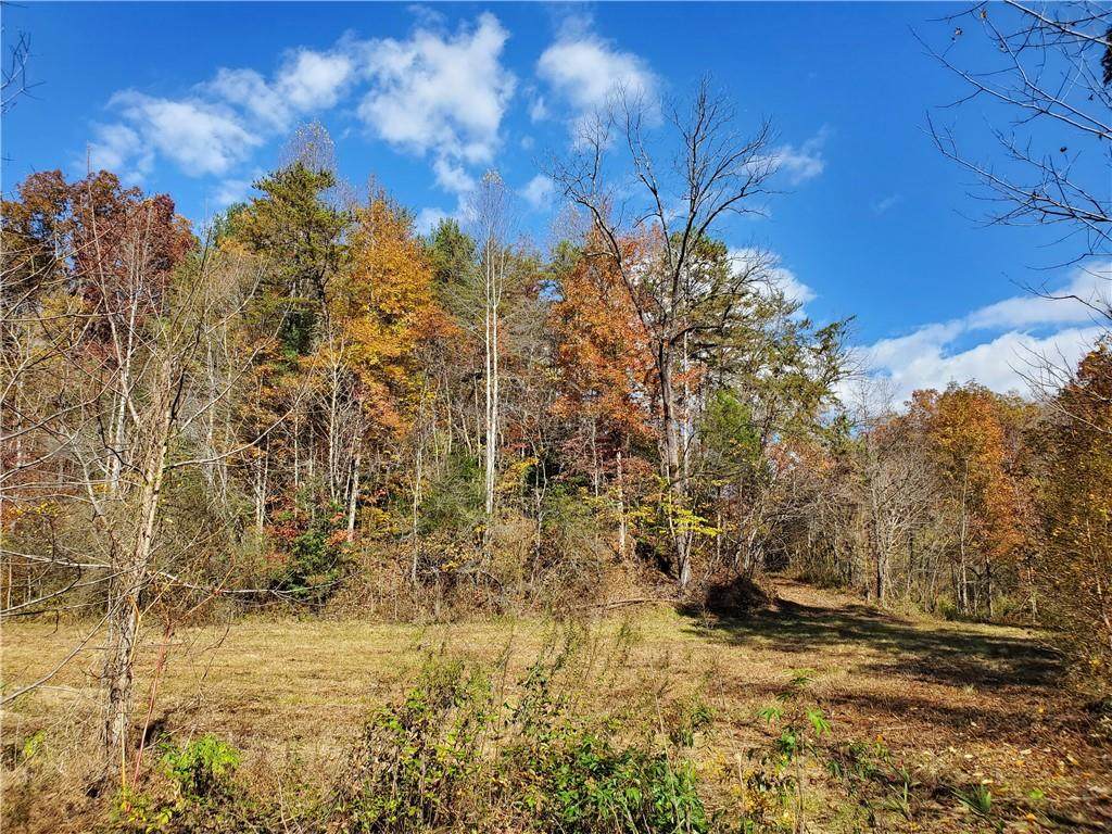 00 Butts Farm Road - Photo 1