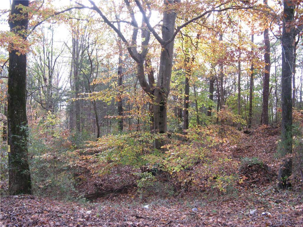 50.35 AC Tract 1 Simpson Lane - Photo 1
