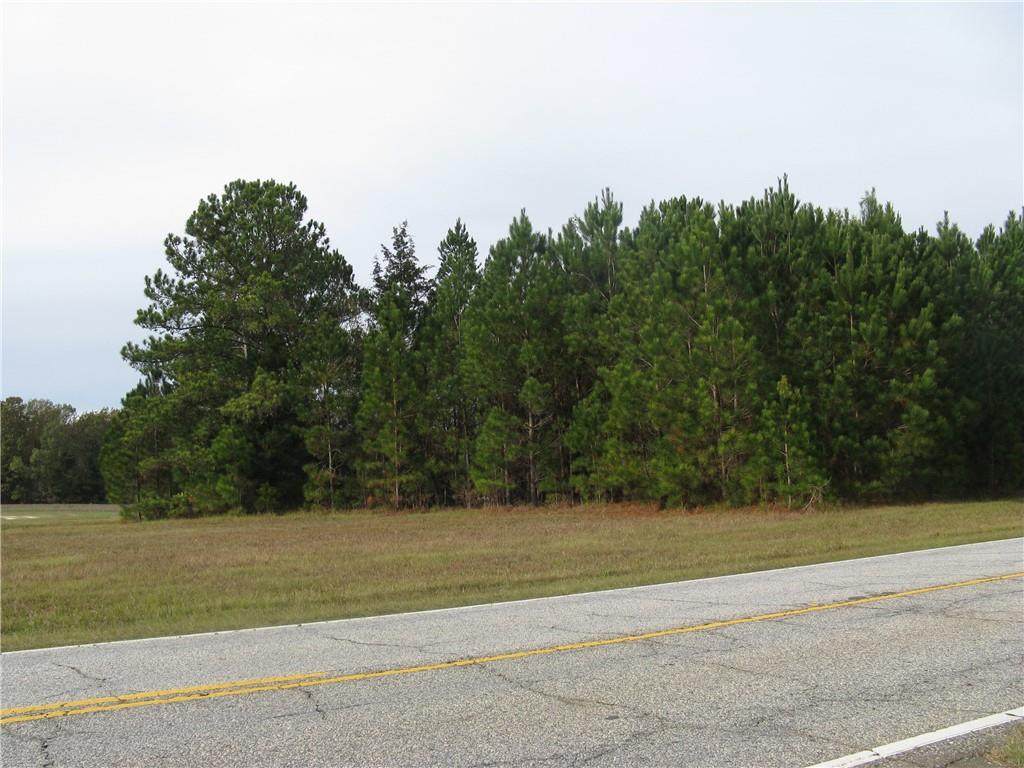 4.66 AC Tract E Highway 81 S - Photo 1