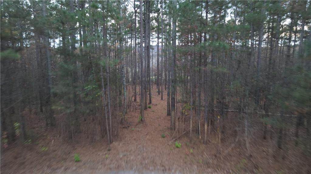 E 29 Pine Ridge - Photo 1