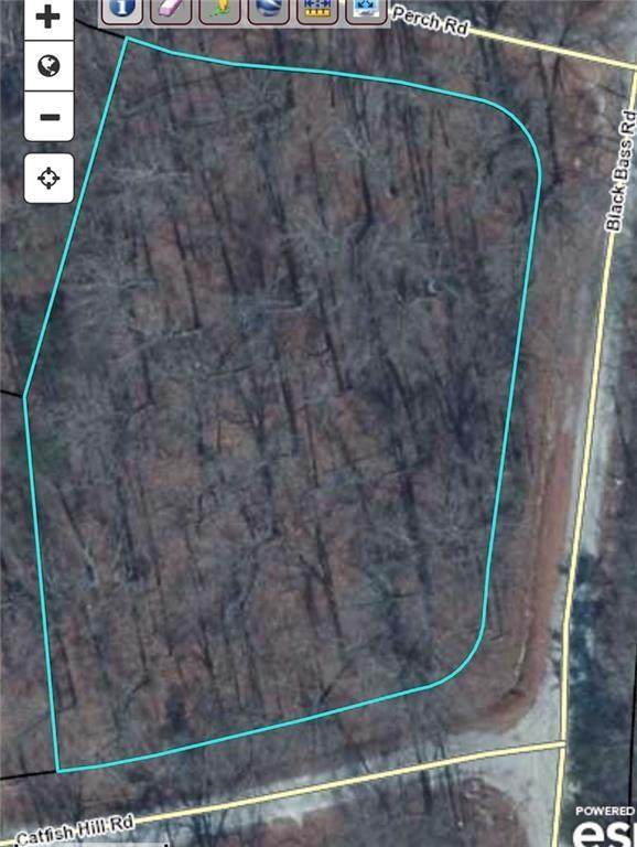 Lot 678-681 Black Bass Road - Photo 1