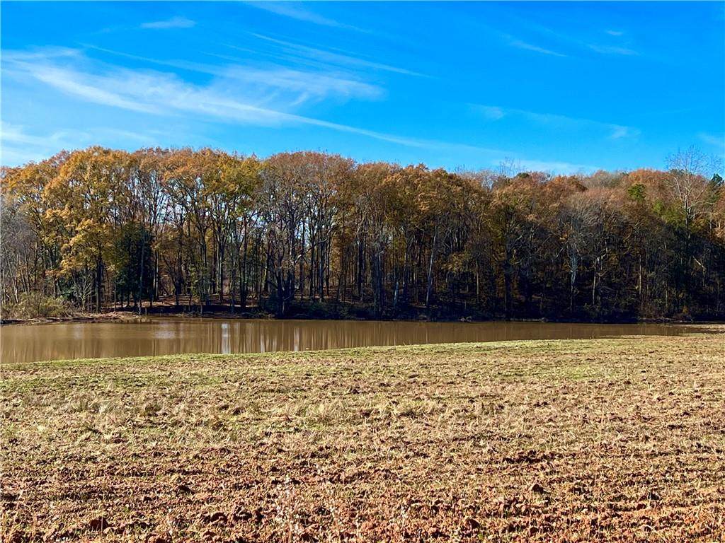 0 Gaines Road - Photo 1