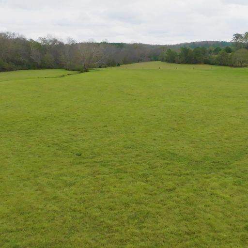 360 Saint Paul Road - Photo 1