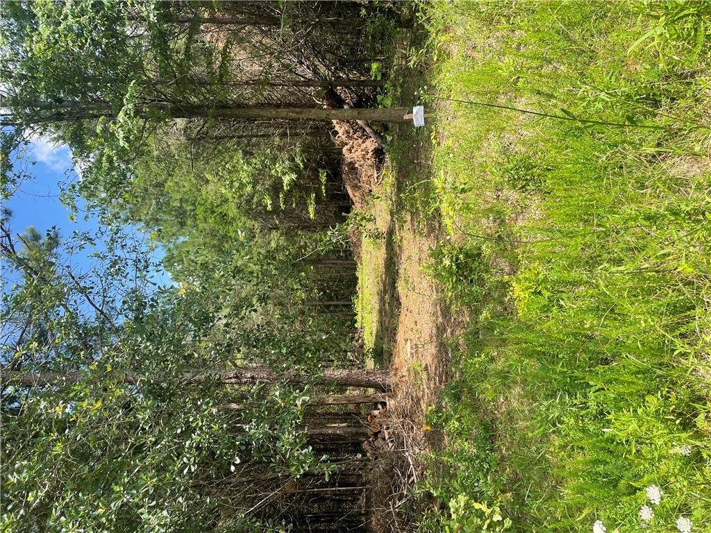 96 Deacon Road - Photo 1
