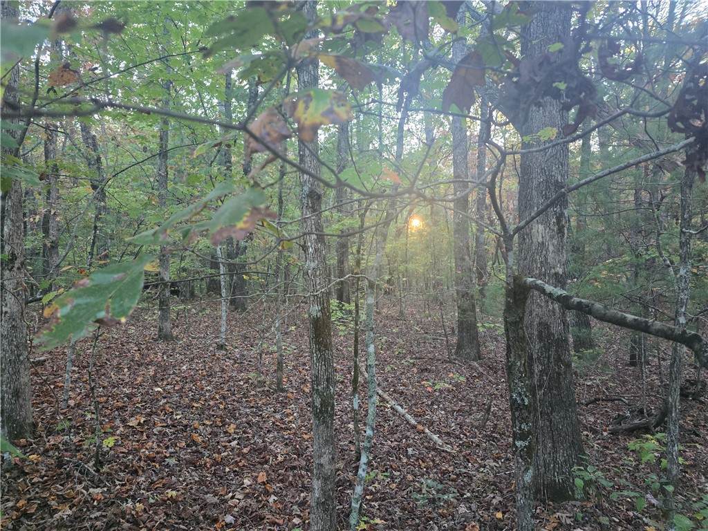 00 Battle Creek Road - Photo 1