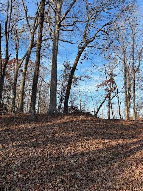 201 Oconee Avenue - Photo 1