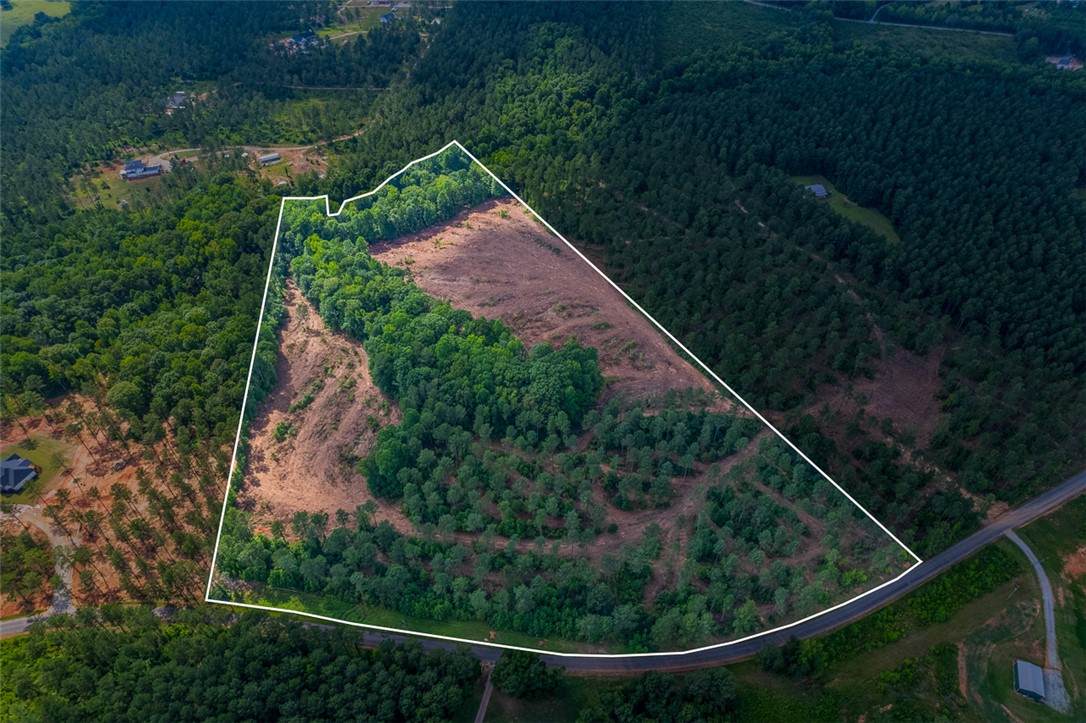 0 Greenville Church Road - Photo 1