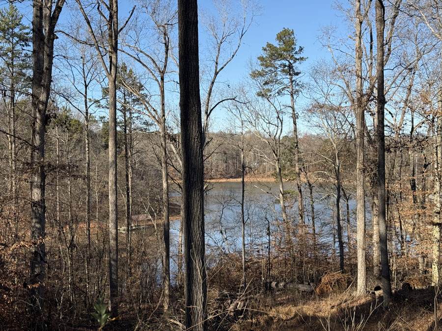 0 View Point Place - Photo 1