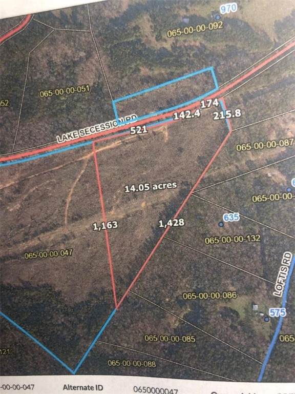 14 ACRES Lake Secession Road - Photo 1