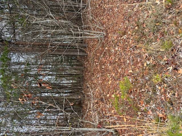 000 Chickasaw Drive - Photo 1