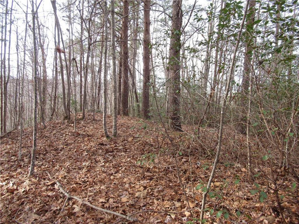 110 Fireside Lane - Photo 1