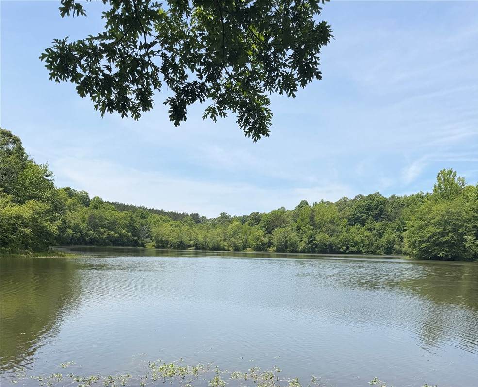 28 Acres Water Works Road - Photo 1