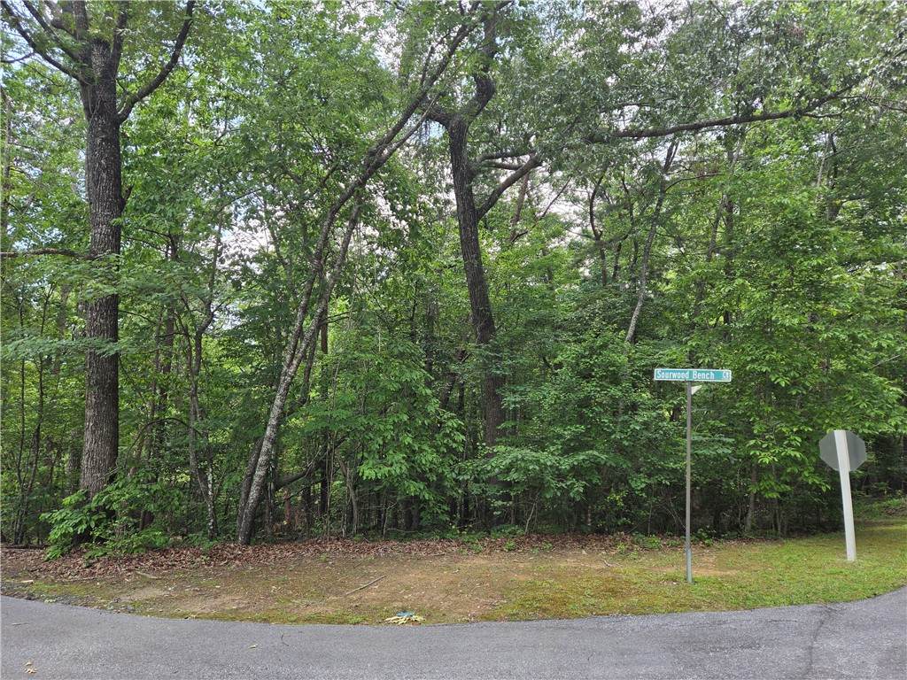 31 Turtlehead Drive - Photo 1