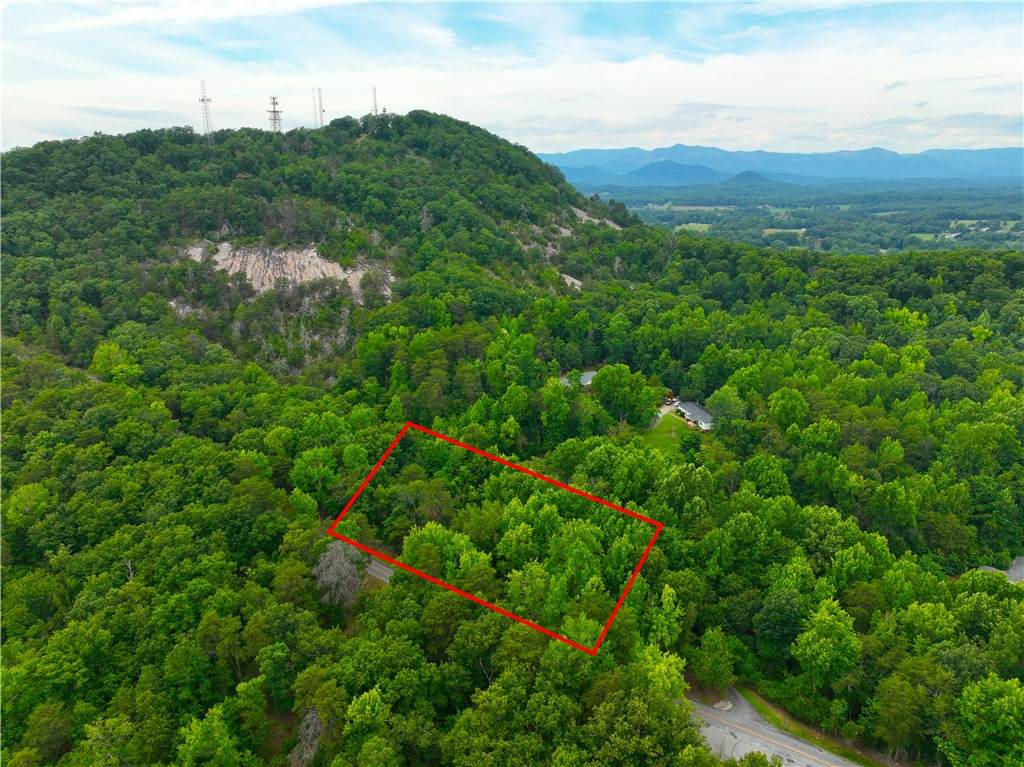 298 Glassy Mountain Church Road - Photo 1