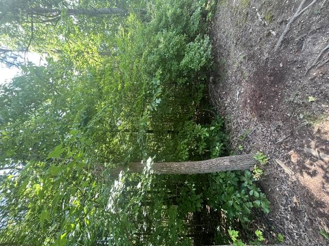0 Point Road - Photo 1
