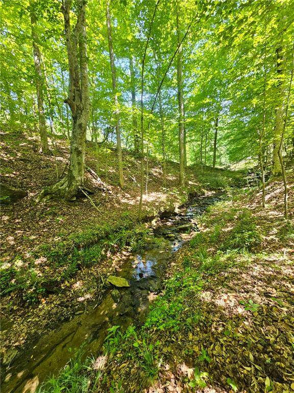 00 Ridgedale Road - Photo 1