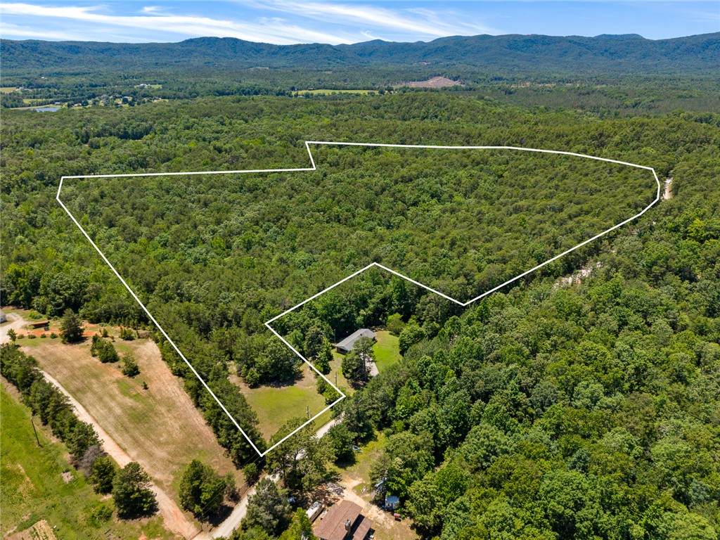 00 Pine Mountain Road - Photo 1