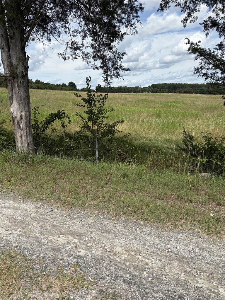 LOT 2 Joyo Road - Photo 1