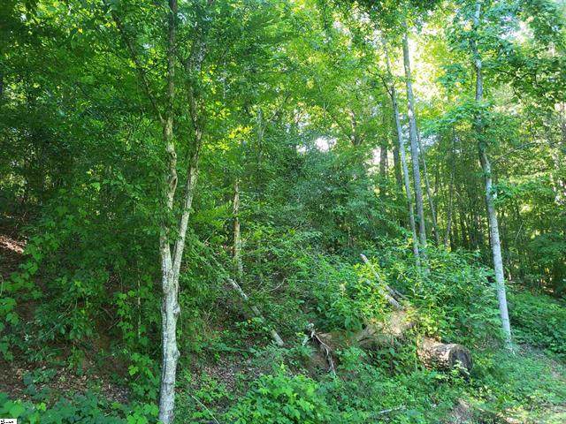 00 Hidden Valley Road - Photo 1