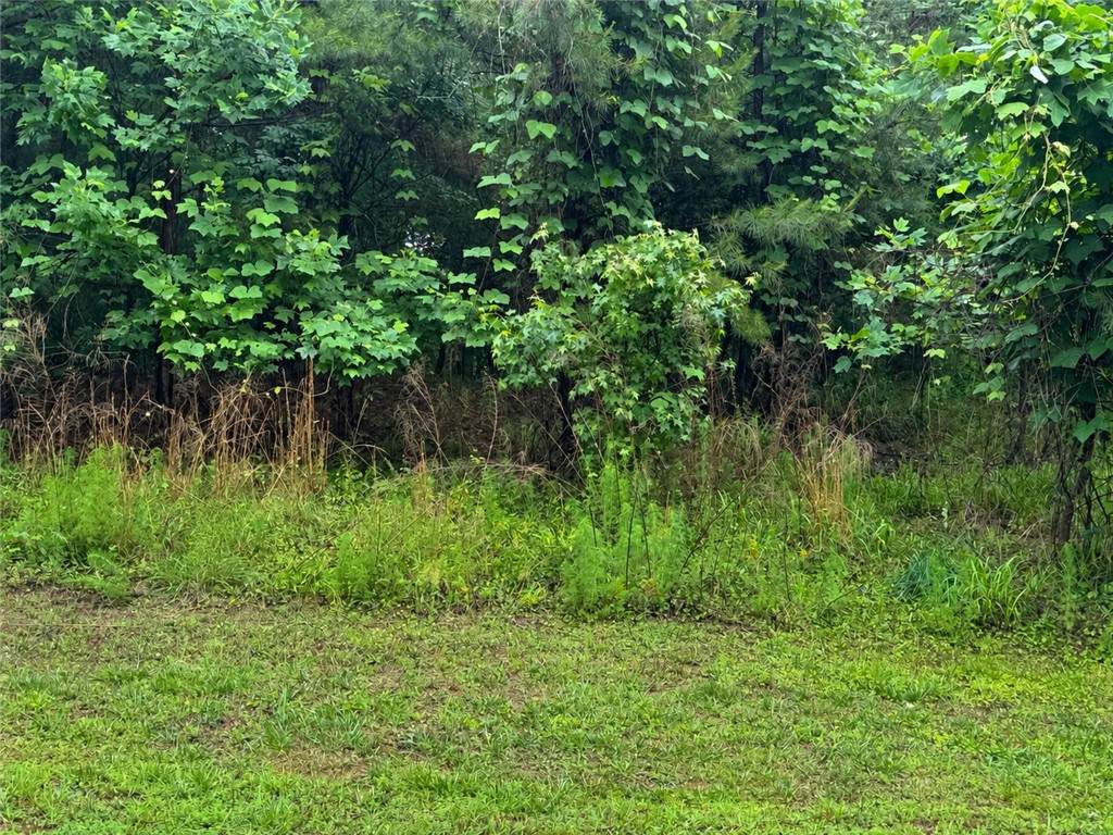 82A2 Safety Harbor Road - Photo 1