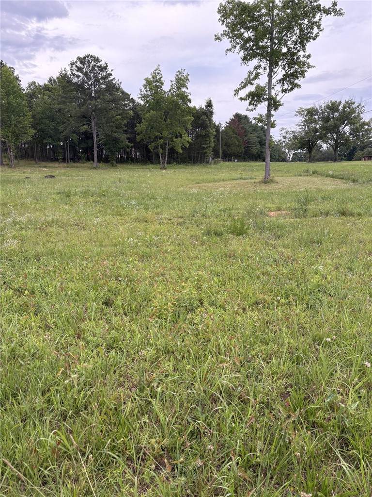 5 lots Flat Rock Road - Photo 1