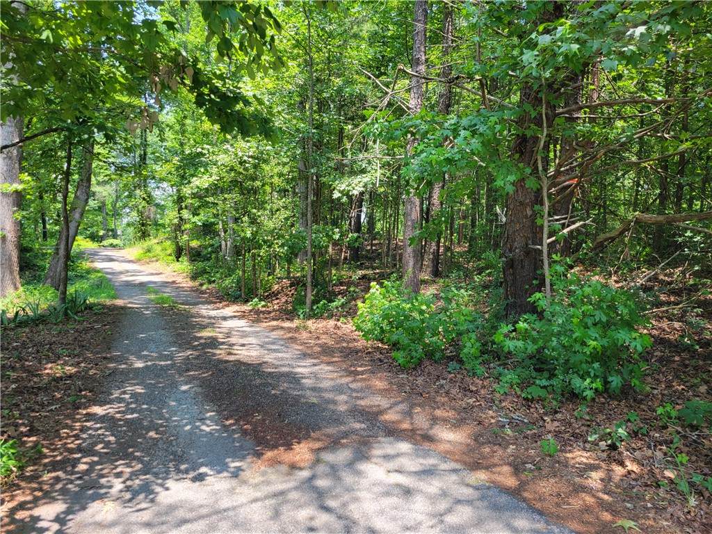 306 Fox Fire Road - Photo 1