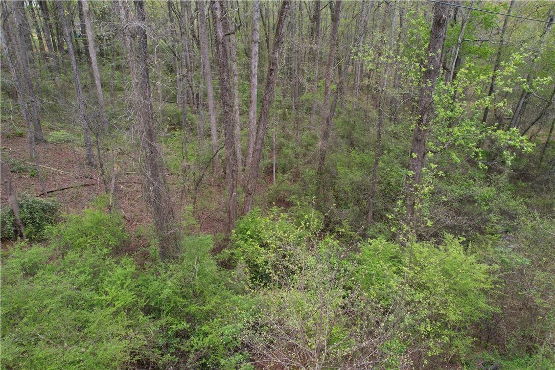 115 Dowell Road - Photo 1