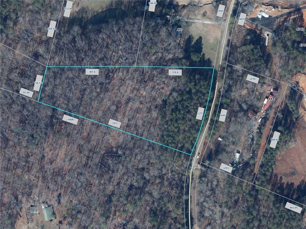 Tract 5 Duncan Road - Photo 1