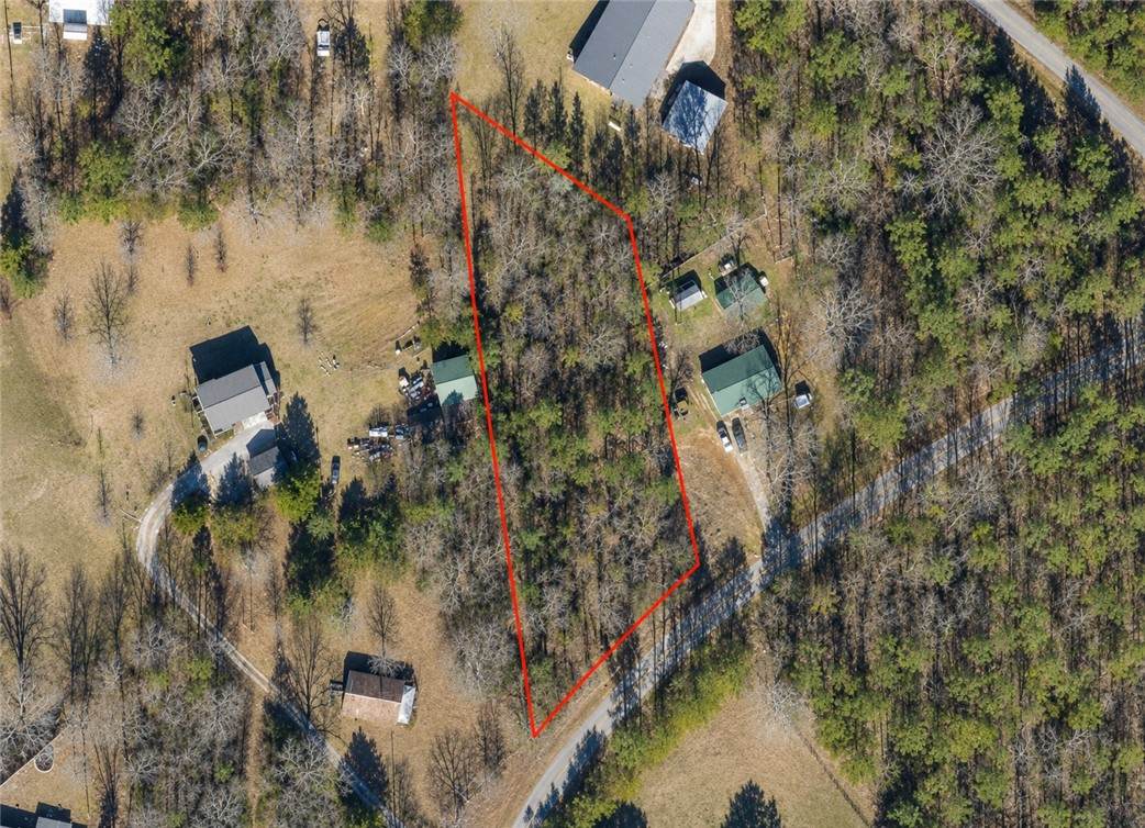 826 Joe Lewis Road - Photo 1