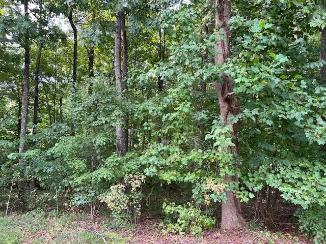 111 Falls Drive - Photo 1