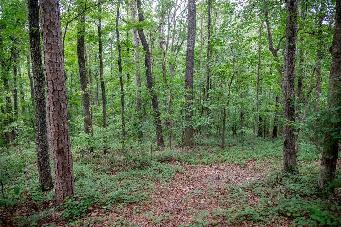 106 Pierpoint Drive - Photo 1