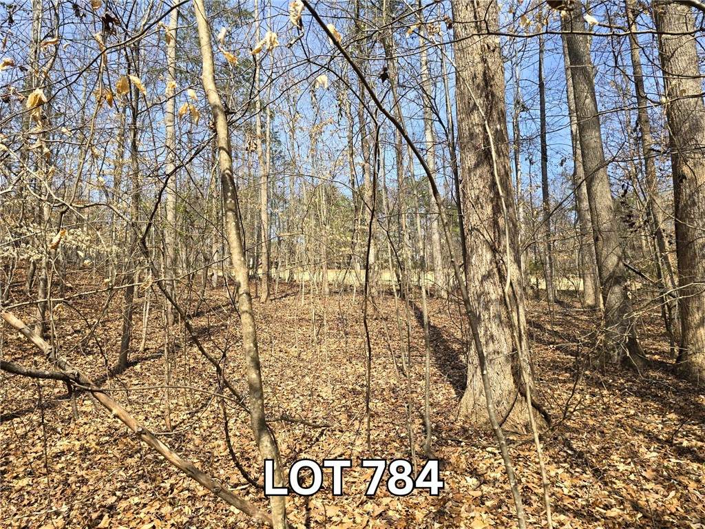 Lot 784 S Hogan Drive - Photo 1