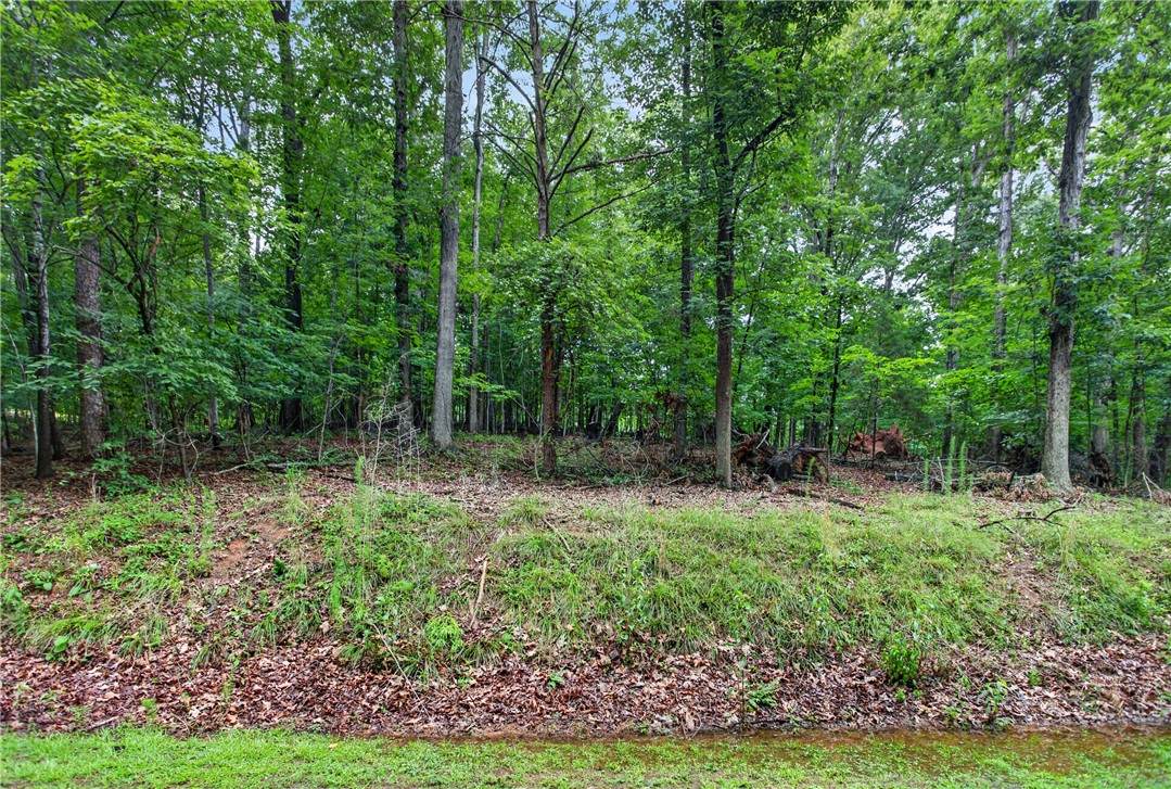 Lot 790 S Hogan Drive - Photo 1