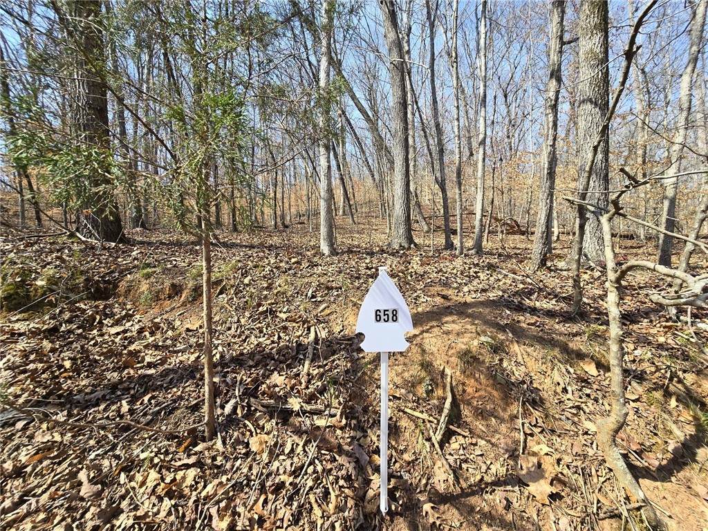 Lot 658 S Sundew Drive - Photo 1