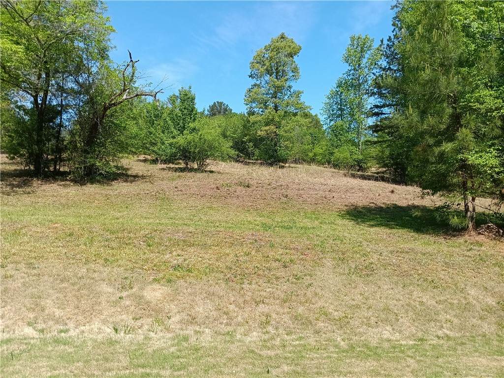 00L-3 Hickory Cove Road - Photo 1