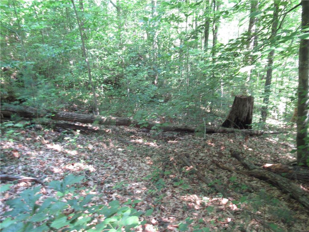 00 Gauley Falls Road - Photo 1