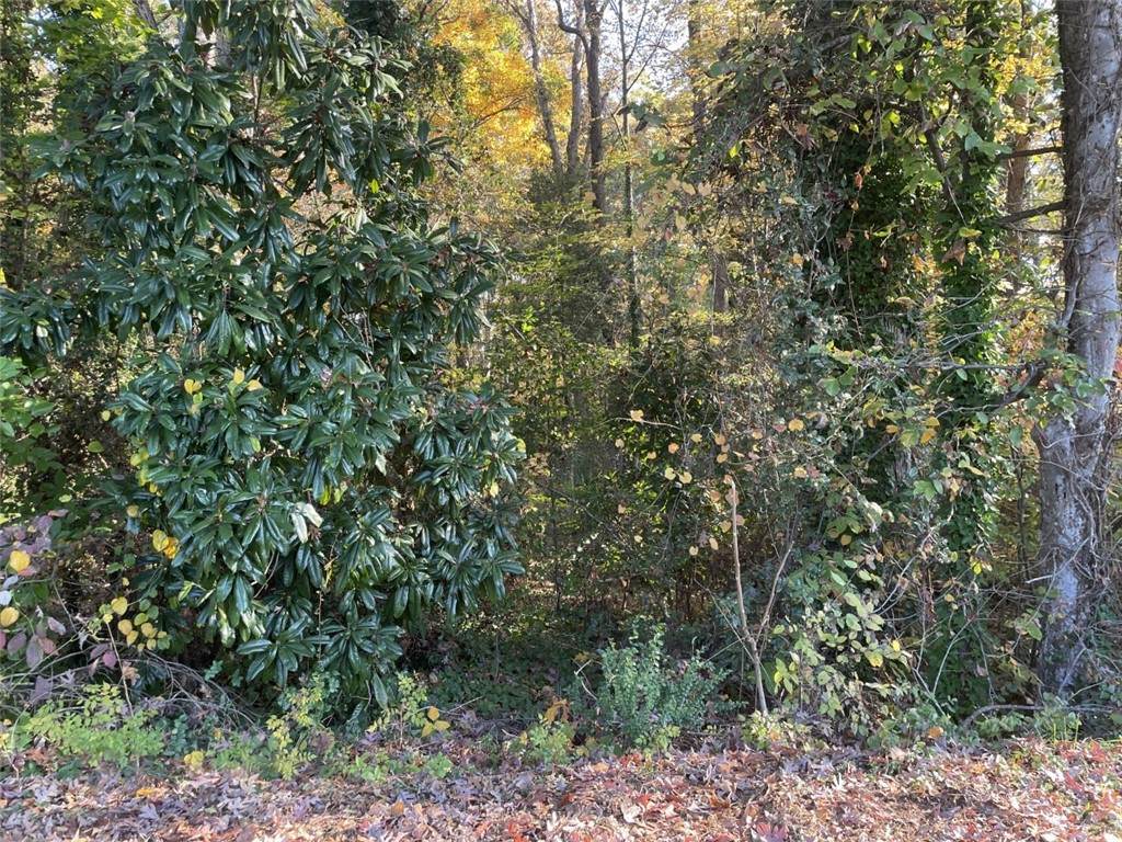 Lot 9 Brookforest Drive - Photo 1