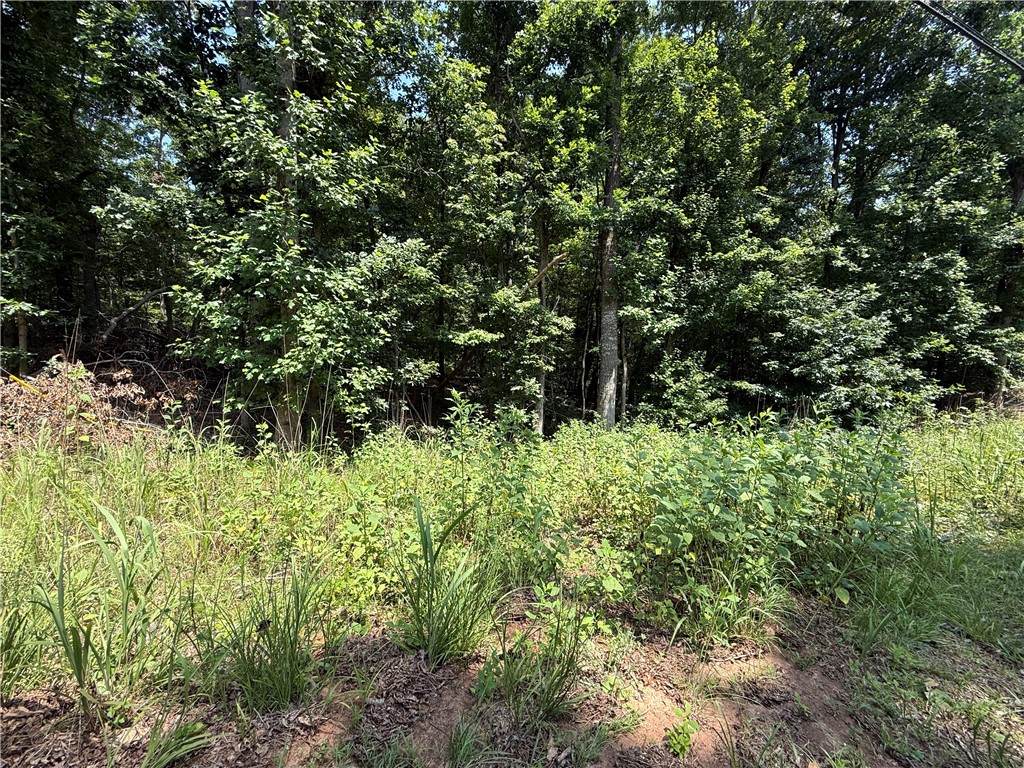 Lot 8 Old Smokey Drive - Photo 1