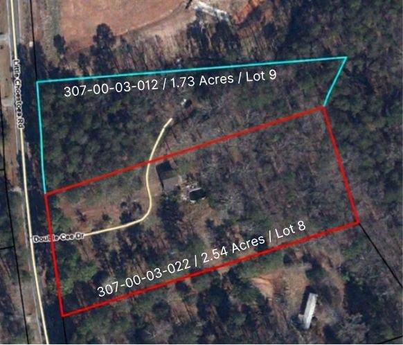 250 Double Cee Drive - Photo 1