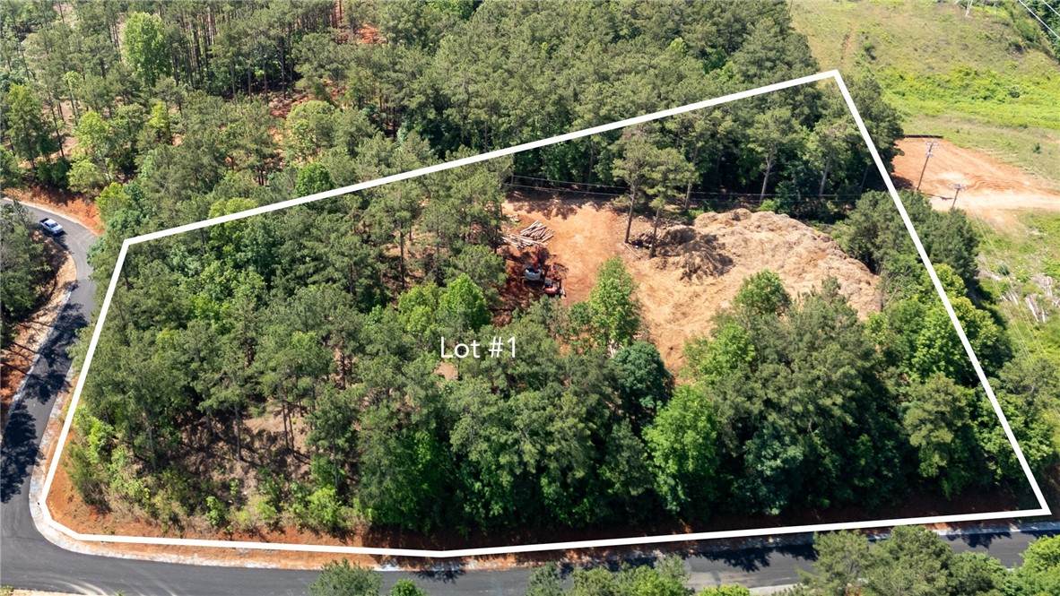 Lot 1 Canebrake Estates - Photo 1